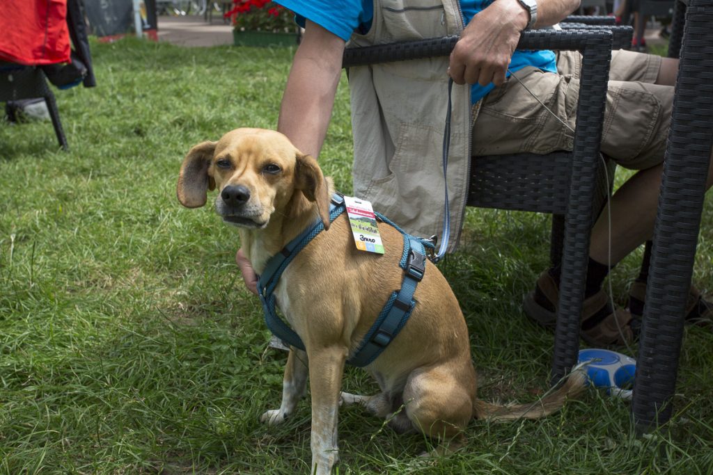 TDO_21_20210721_12-01