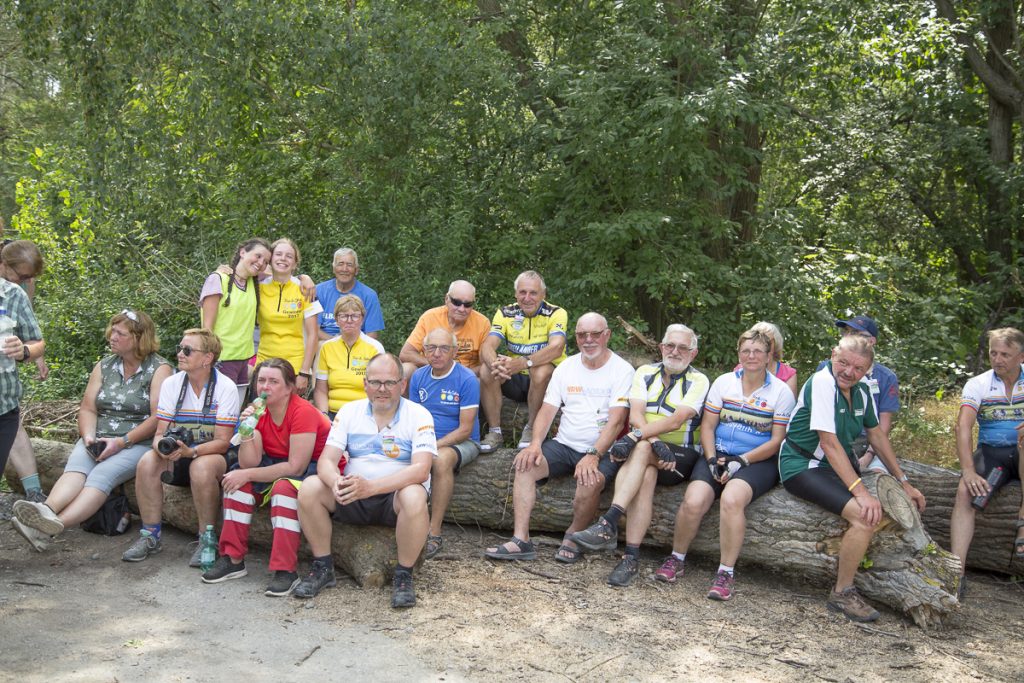 TDO_21_20210724_15-18